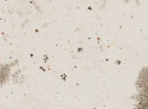cf. Dercitus