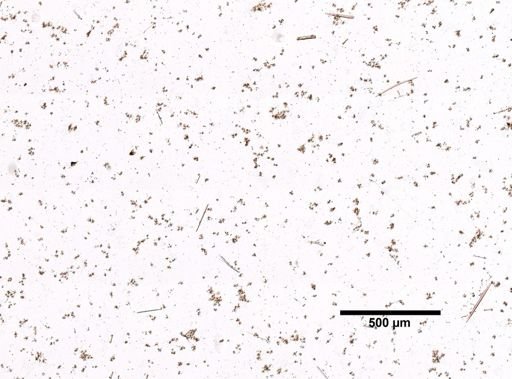 cf. Timea