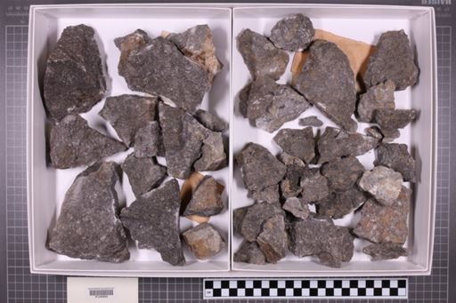 mixed taxa, stratigraphic collection