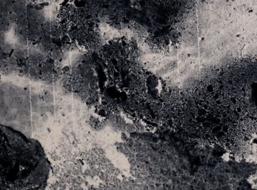 Iodamoeba williamsi