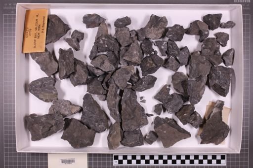 mixed taxa, stratigraphic collection