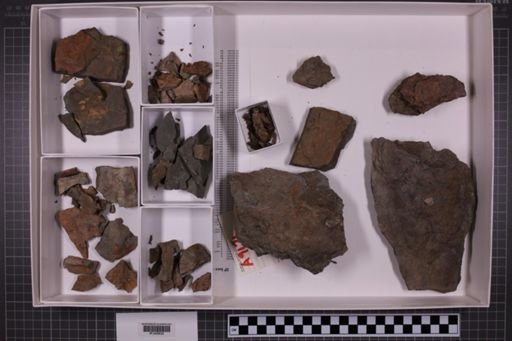 mixed taxa, stratigraphic collection