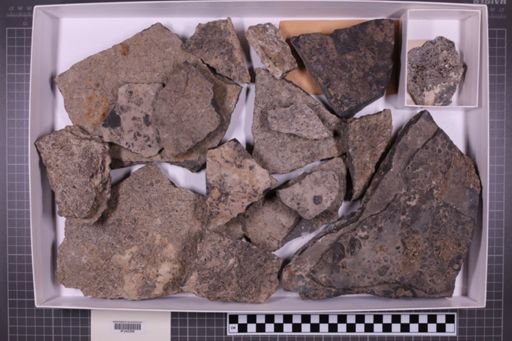 mixed taxa, stratigraphic collection