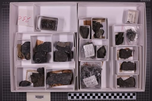 mixed taxa, stratigraphic collection
