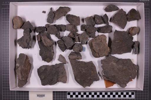 mixed taxa, stratigraphic collection