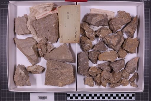 mixed taxa, stratigraphic collection