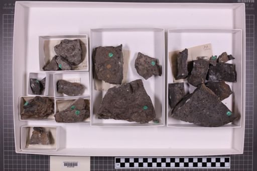 mixed taxa, stratigraphic collection