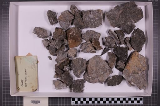 mixed taxa, stratigraphic collection