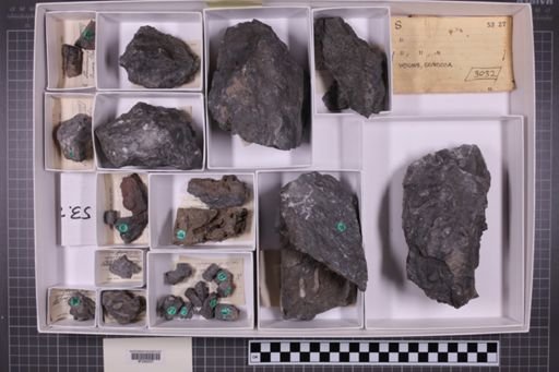 mixed taxa, stratigraphic collection