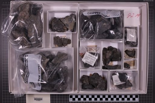 mixed taxa, stratigraphic collection