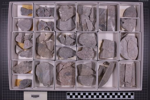 mixed taxa, stratigraphic collection
