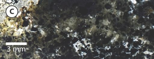 thin section