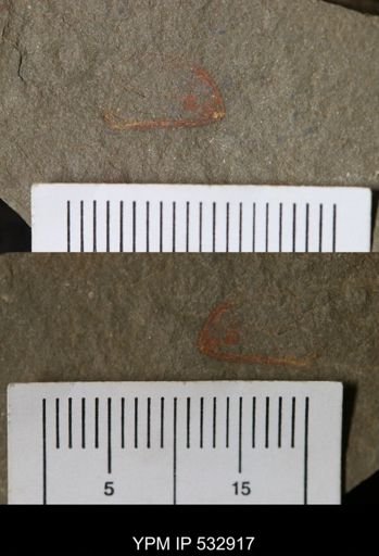Problematica