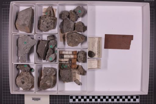 mixed taxa, stratigraphic collection