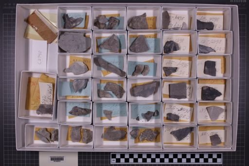 mixed taxa, stratigraphic collection