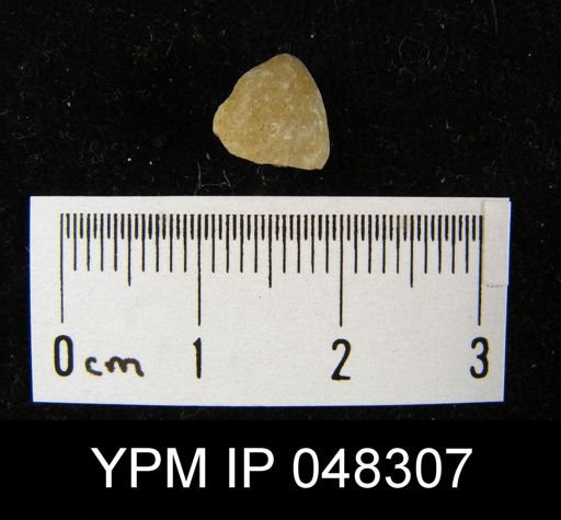 Isorthis arcuaria