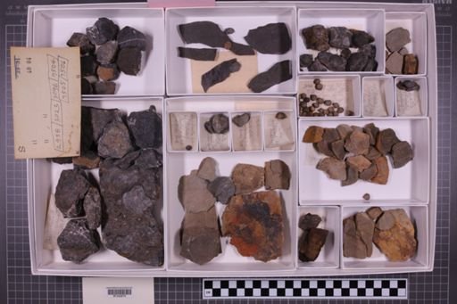 mixed taxa, stratigraphic collection