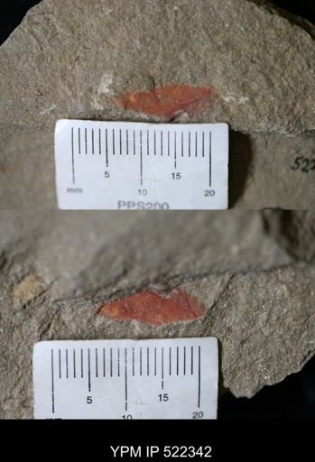 Problematica