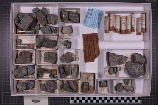 mixed taxa, stratigraphic collection