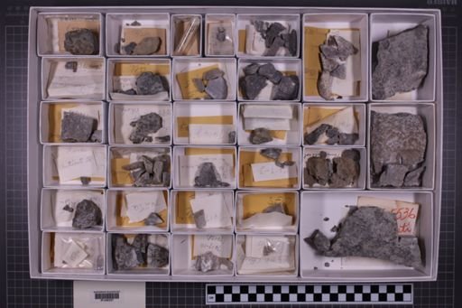 mixed taxa, stratigraphic collection