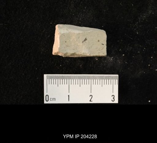 undet. Hexapoda