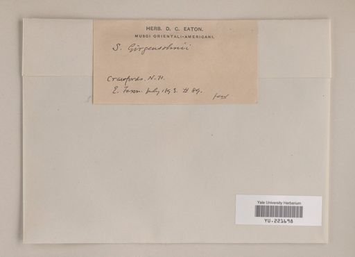 Sphagnum girgensohnii
