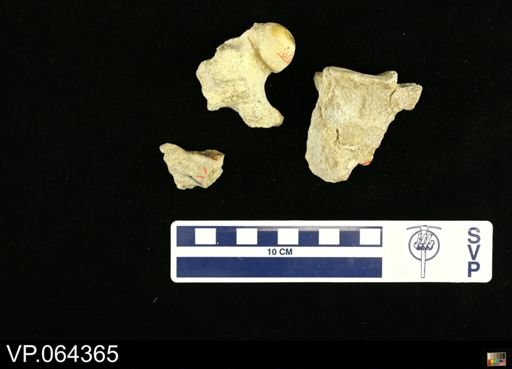 undet. Plesiosauridae