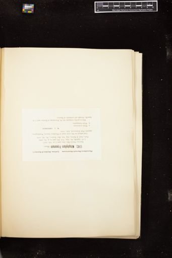 Nitophyllum fryeanum