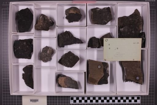 mixed taxa, stratigraphic collection