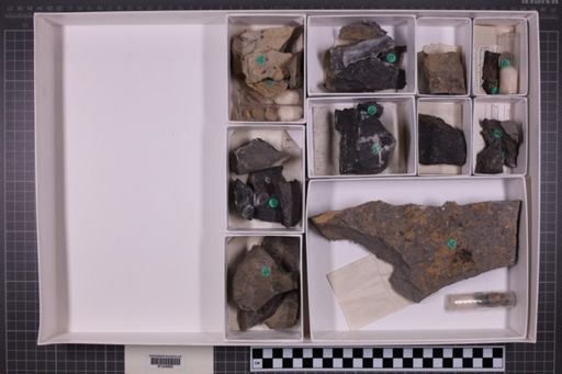 mixed taxa, stratigraphic collection