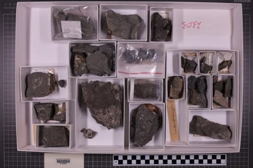 mixed taxa, stratigraphic collection
