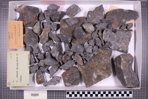mixed taxa, stratigraphic collection