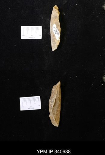 Problematica