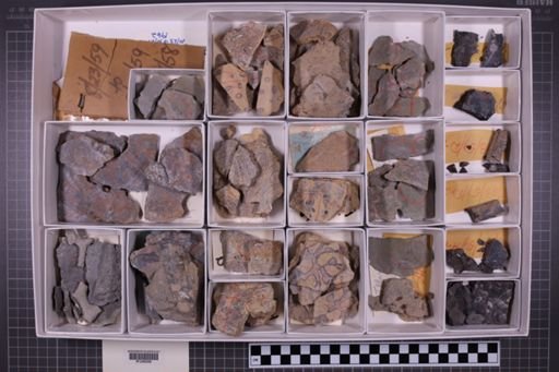 mixed taxa, stratigraphic collection