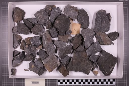mixed taxa, stratigraphic collection