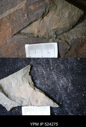 Problematica