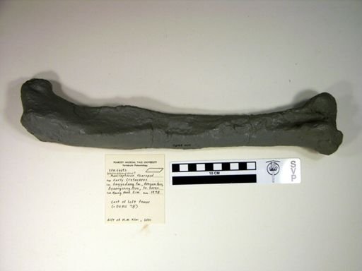 Koreanosaurus