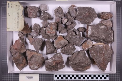 mixed taxa, stratigraphic collection