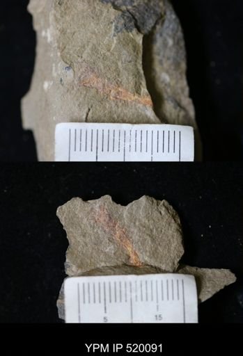 Problematica