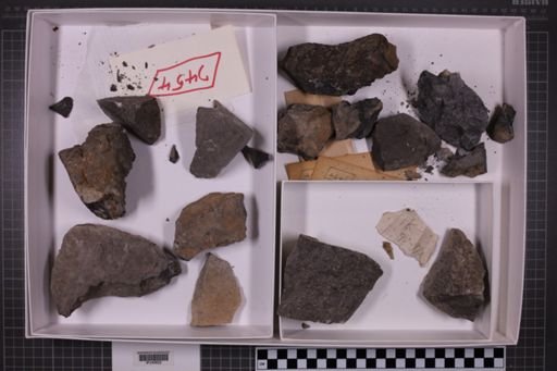 mixed taxa, stratigraphic collection
