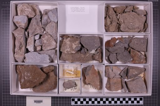 mixed taxa, stratigraphic collection