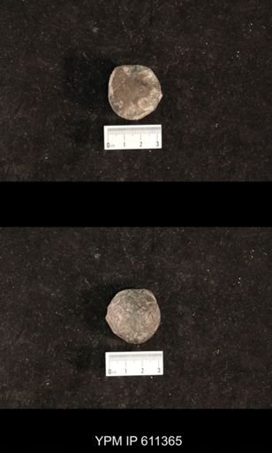 Monticulipora lycoperdon
