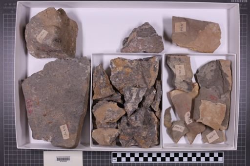 mixed taxa, stratigraphic collection