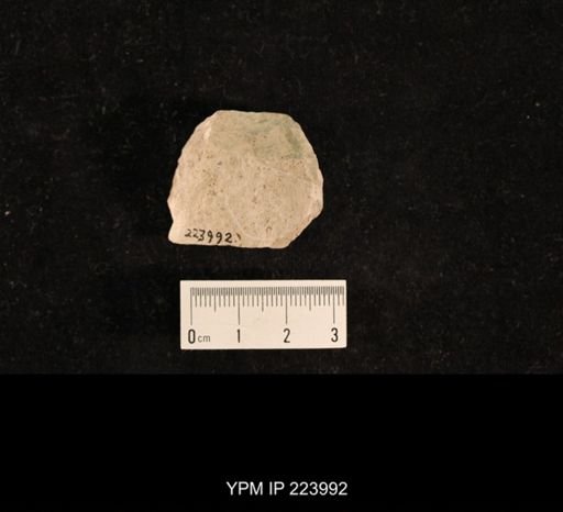 undet. Psocoptera