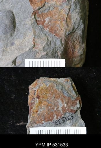 Problematica