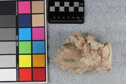 Oreodontidae