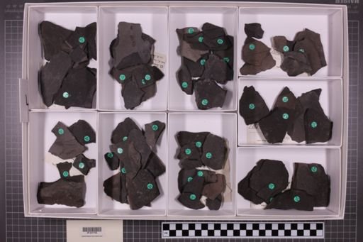 mixed taxa, stratigraphic collection