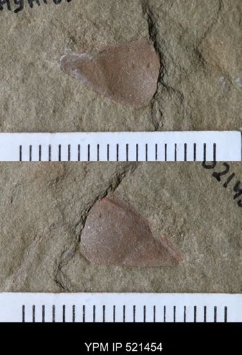Problematica