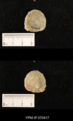Heliolites nucella