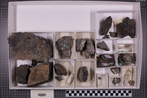 mixed taxa, stratigraphic collection